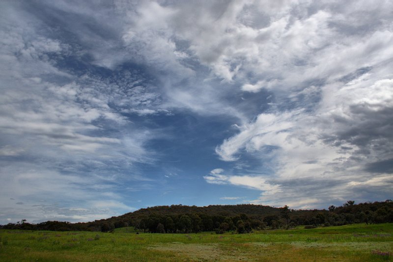 aranda bush sky.jpg